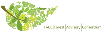 Forestry Advisory Consortium