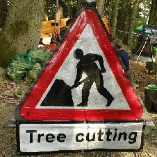 Tree Cutting in Progress